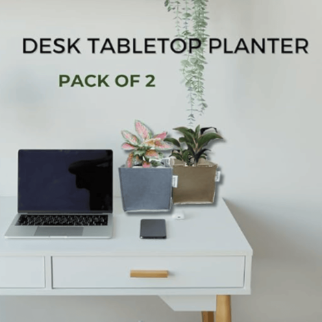 HAPPY EARTH Desk Tabletop Planter | Felt 5 Multicolor Plant Container Set Pot for Office, Home, Decoration, Terrace, Garden, Flower, Balcony, Kitchen, Study Table (Pack of 2) HAPPY EARTH Desk Tabletop Planter | Felt 5 Multicolor Plant Container Set Pot for Office, Home, Decoration, Terrace, Garden, Flower, Balcony, Kitchen, Study Table (Pack of 2)